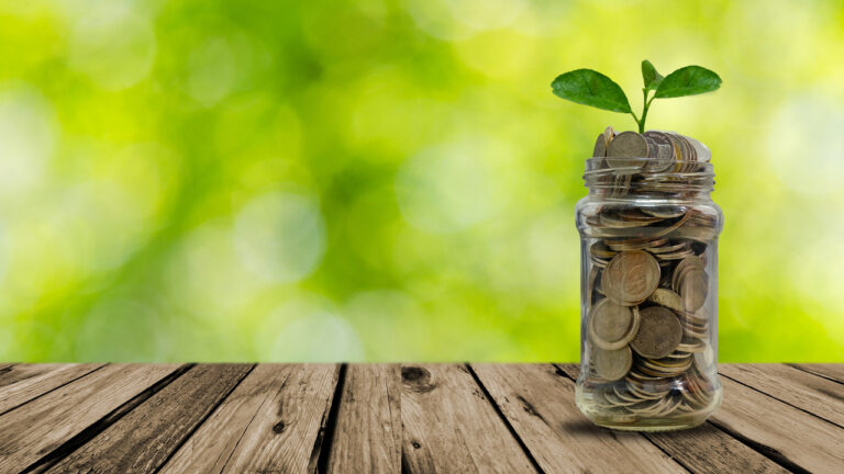 A jar of coins with a plant sprouting out of the top sitting on a wooden deck.